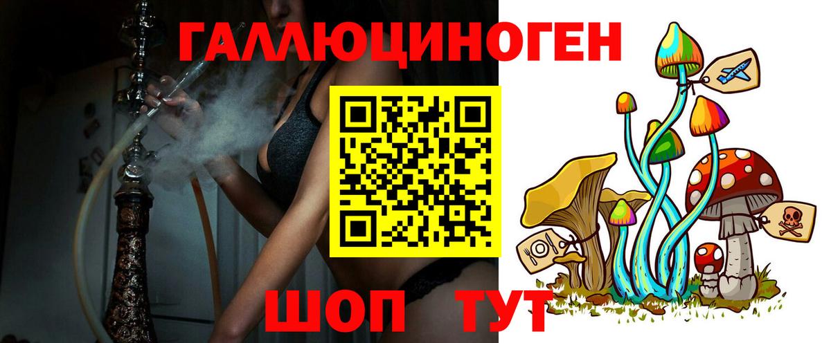 Люберцы  Псилоцибиновые грибы Psilocybe  Вход с VPN 